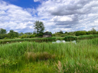 De Luysen - Mariahof